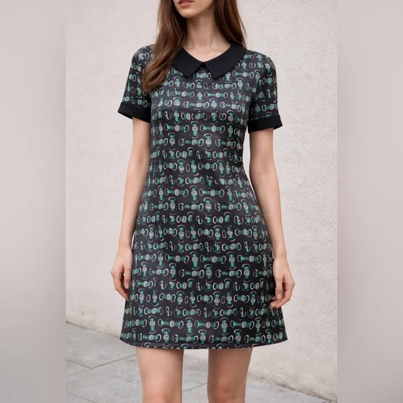 🌙 RACK Collared dress - Picture 1 of 2